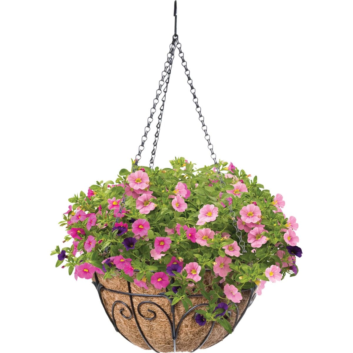 main-product-image