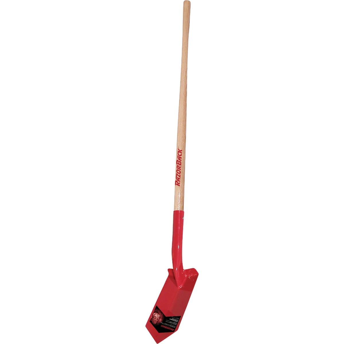 main-product-image