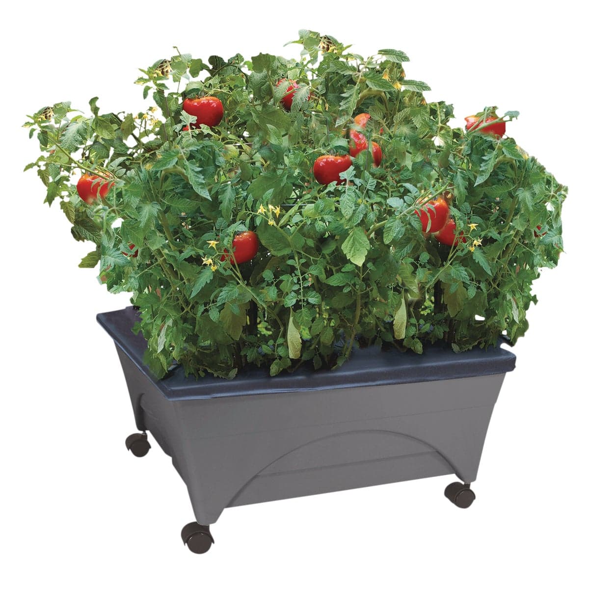 main-product-image