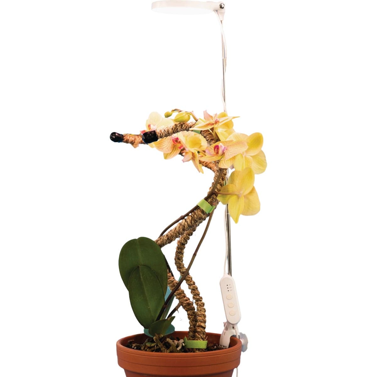 main-product-image