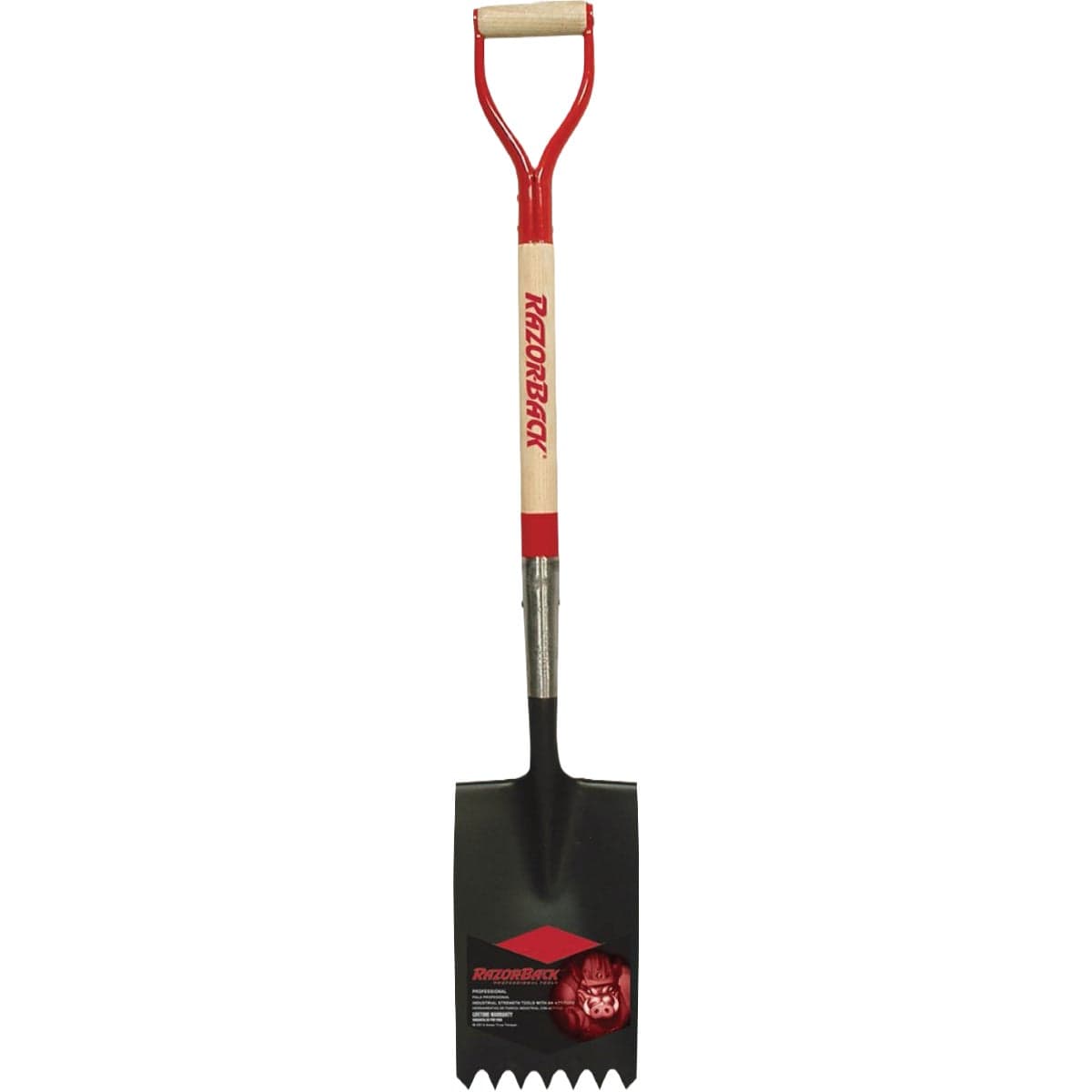 main-product-image