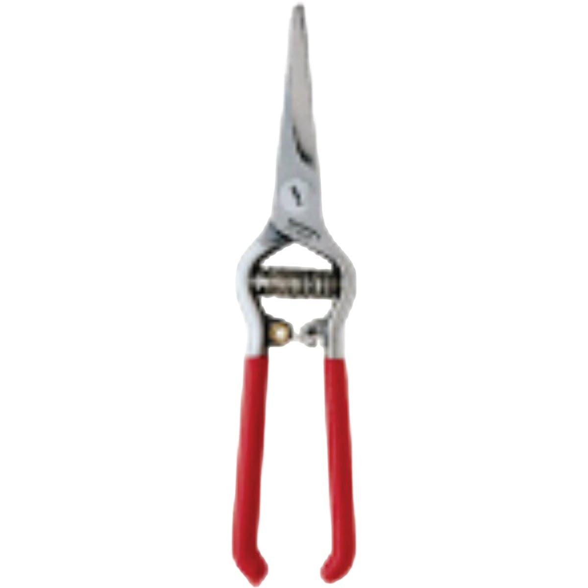 main-product-image