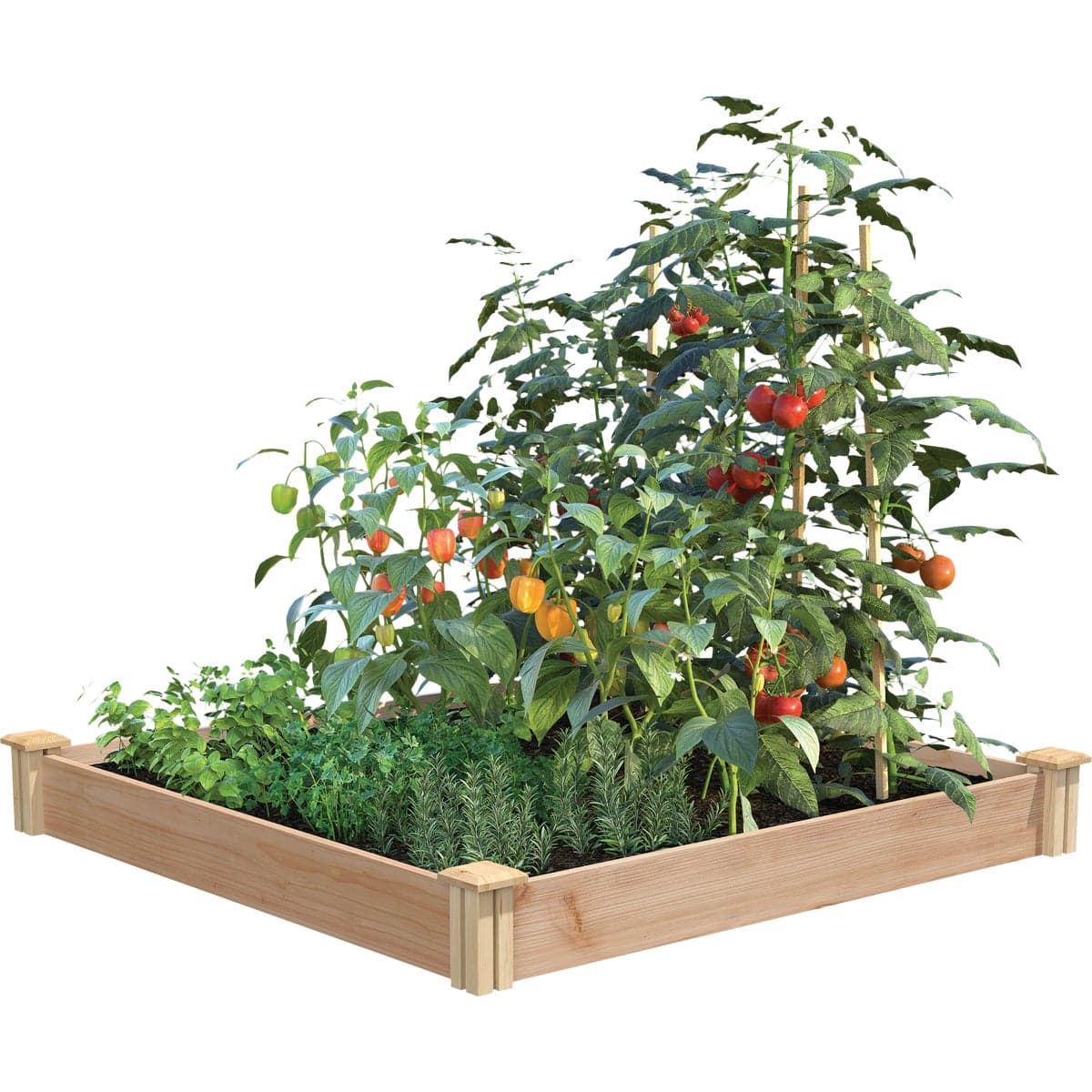 main-product-image