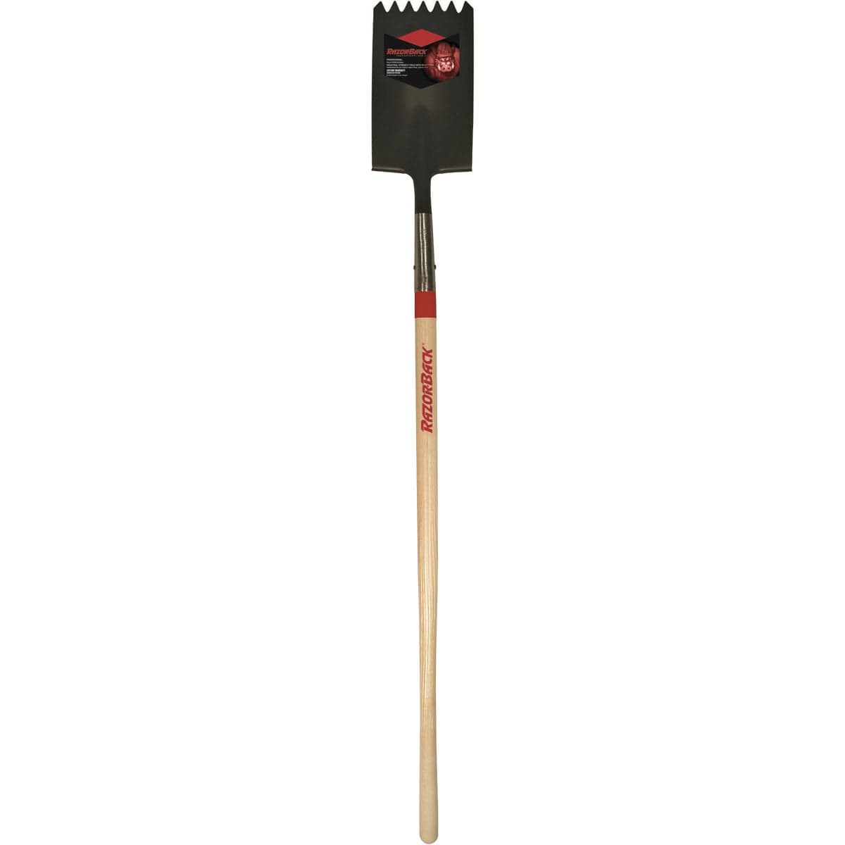 main-product-image