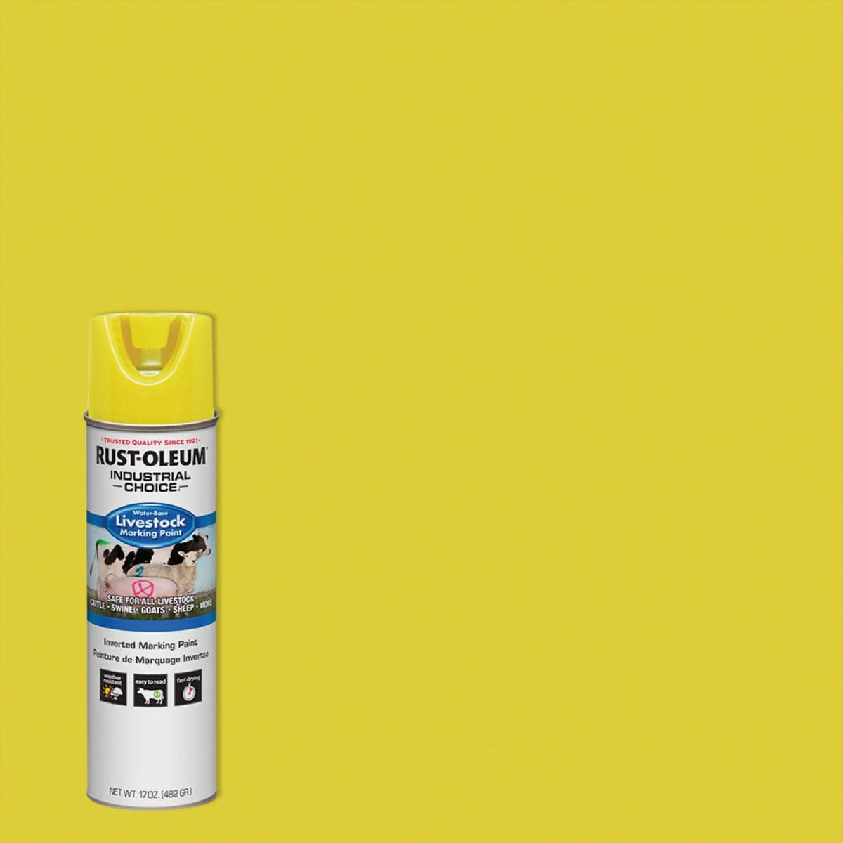 main-product-image