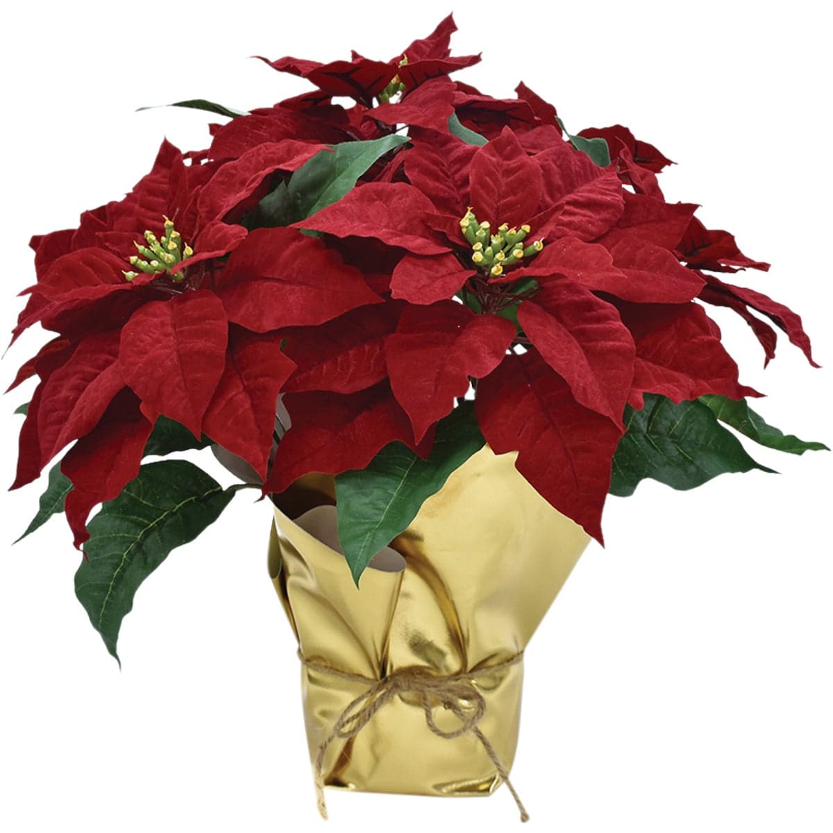 main-product-image