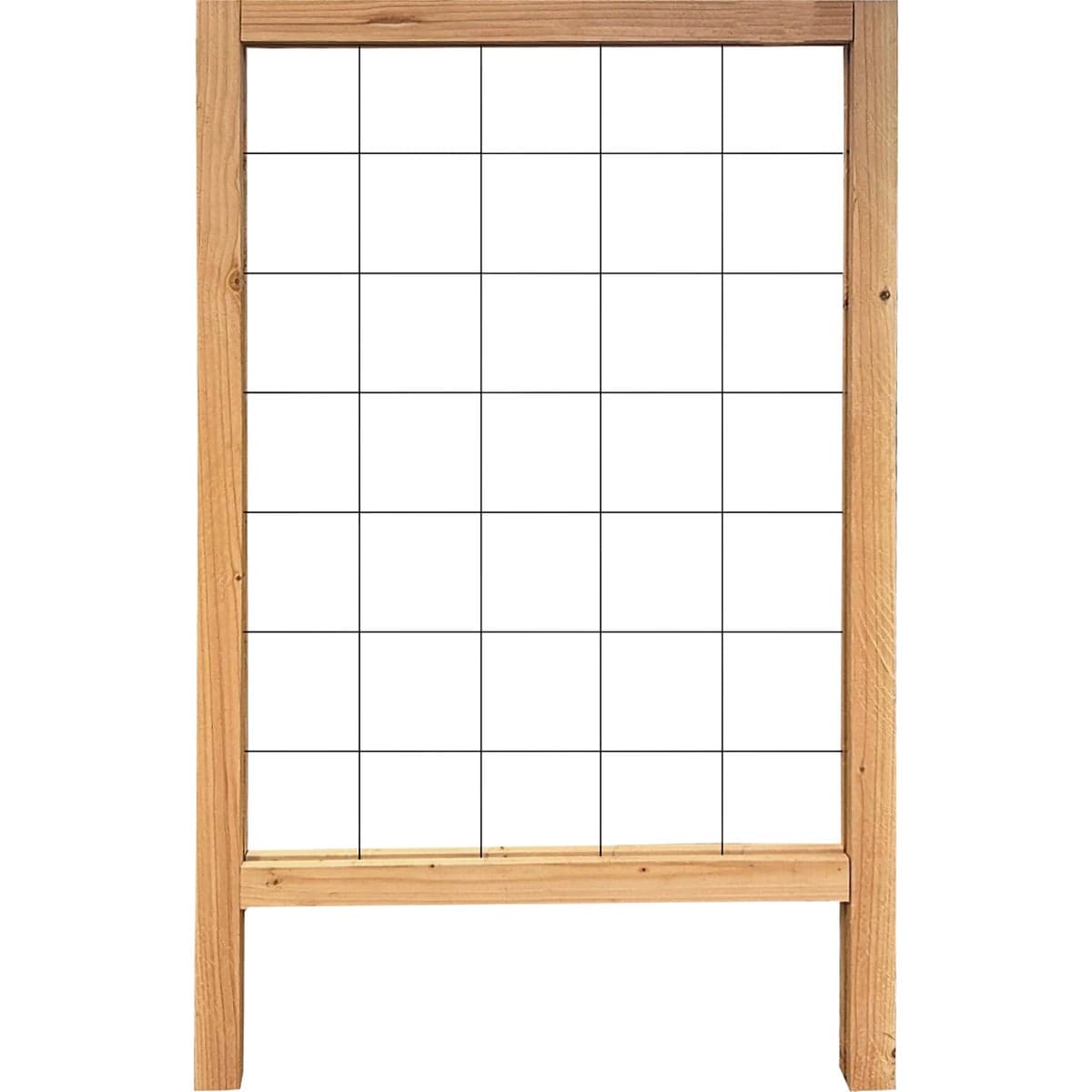 main-product-image