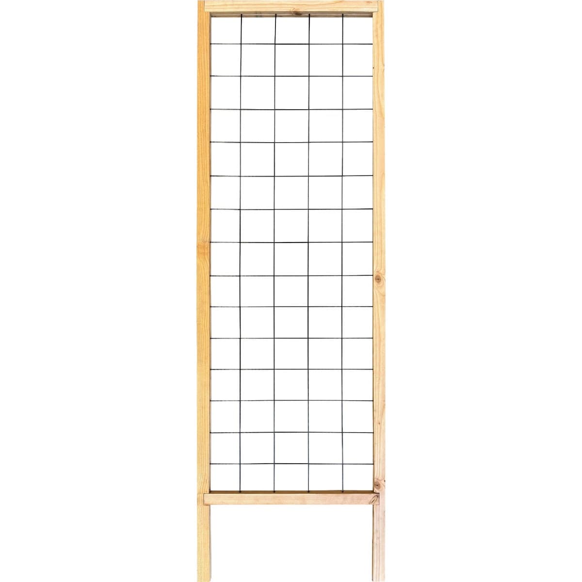 main-product-image