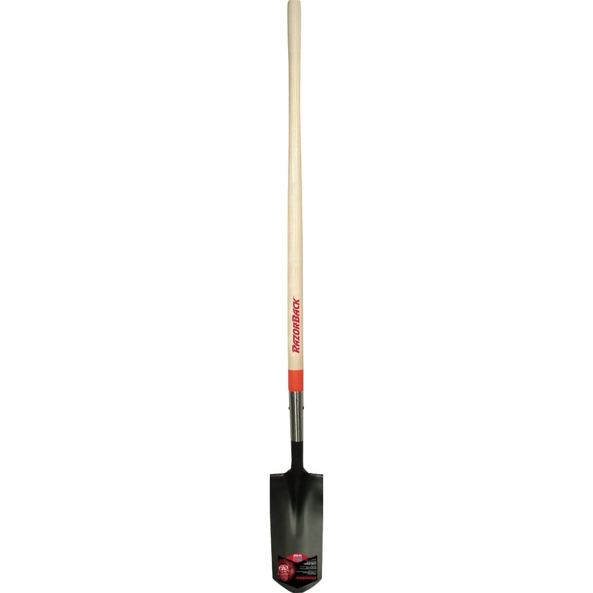 main-product-image