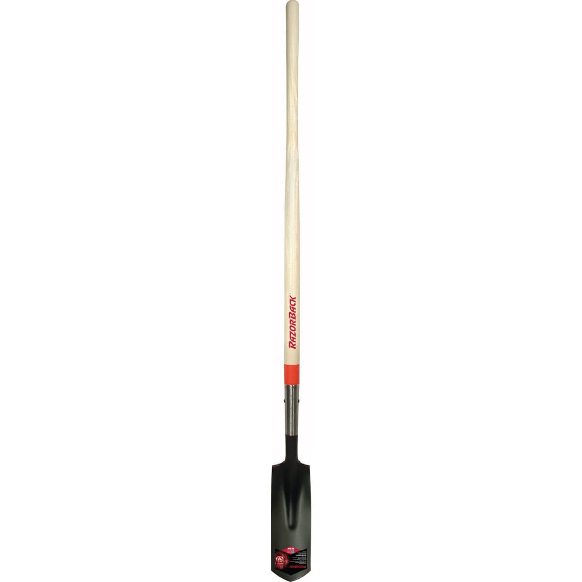 main-product-image