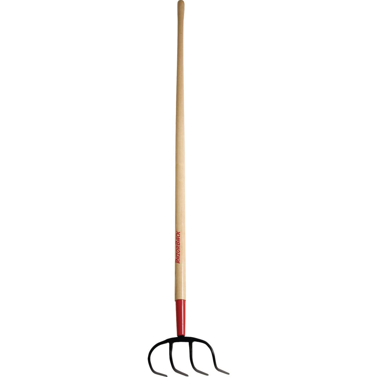 main-product-image