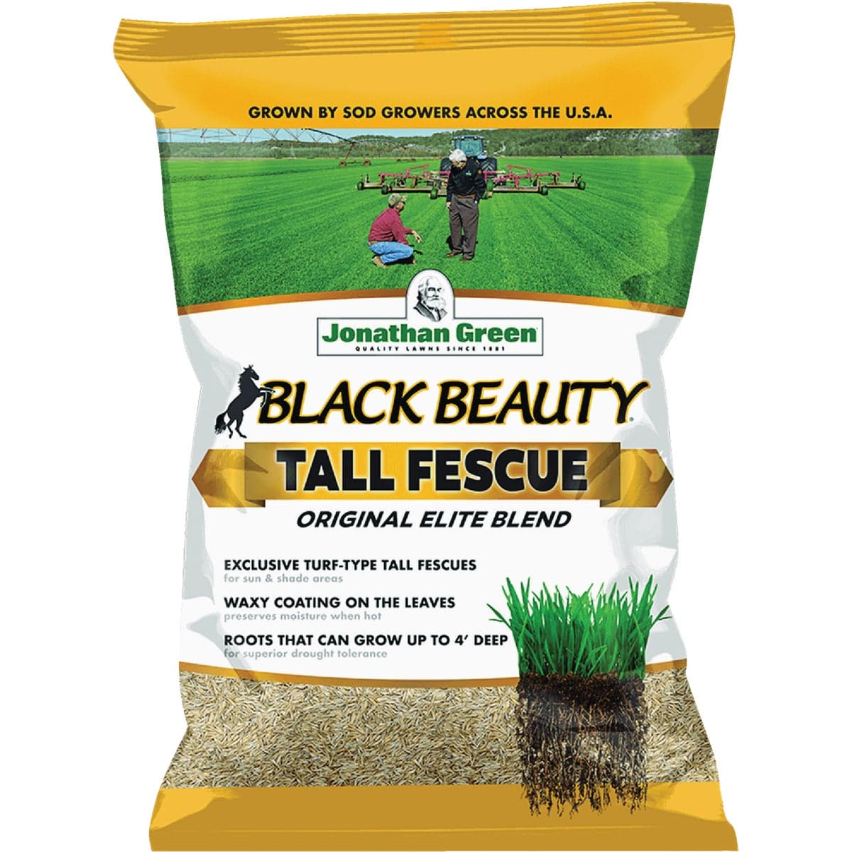 main-product-image