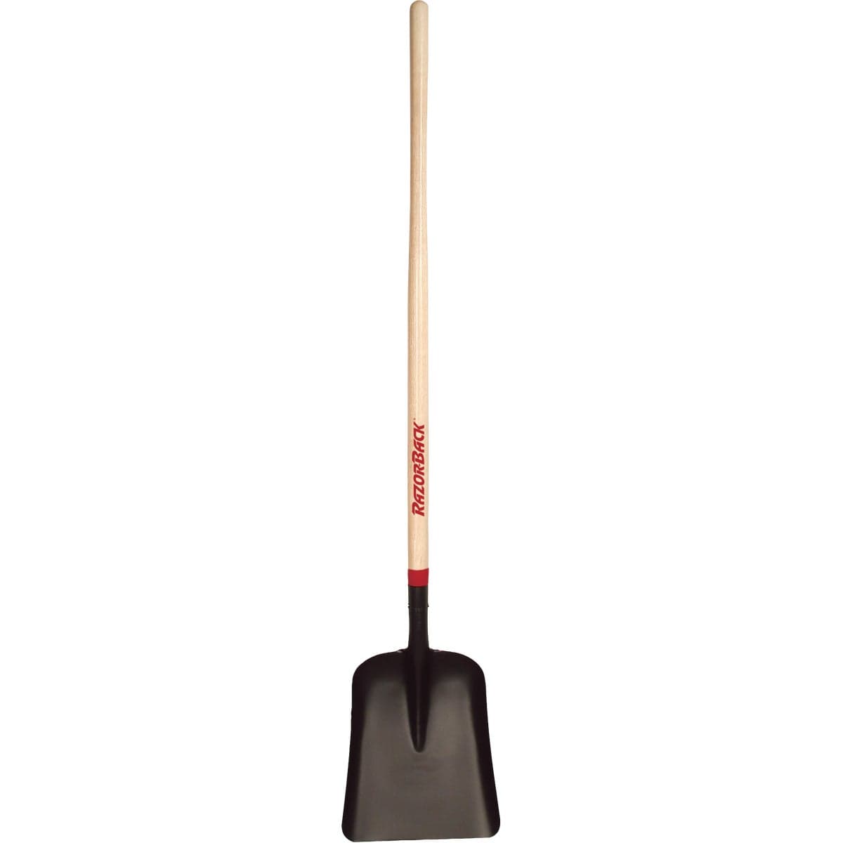 main-product-image