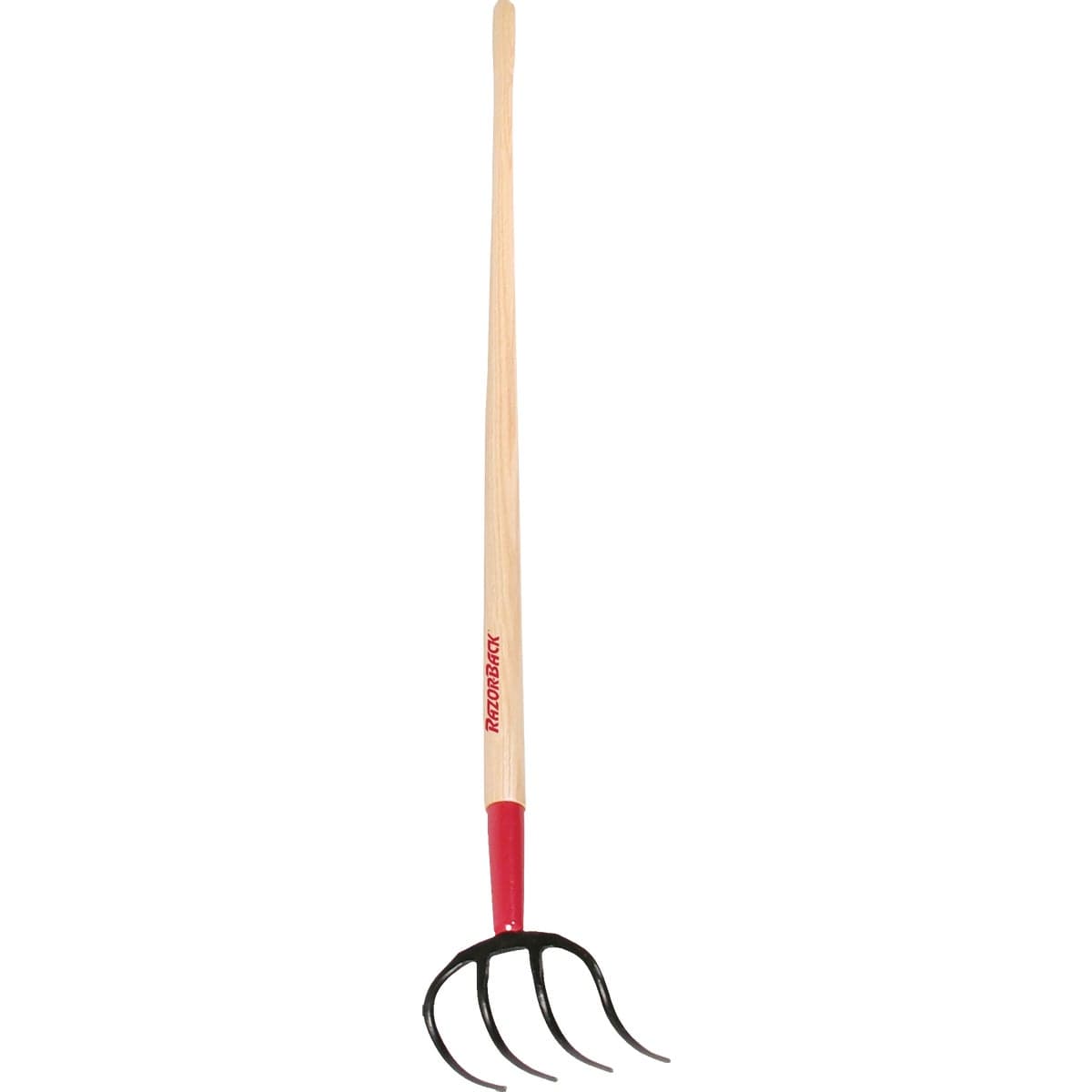main-product-image