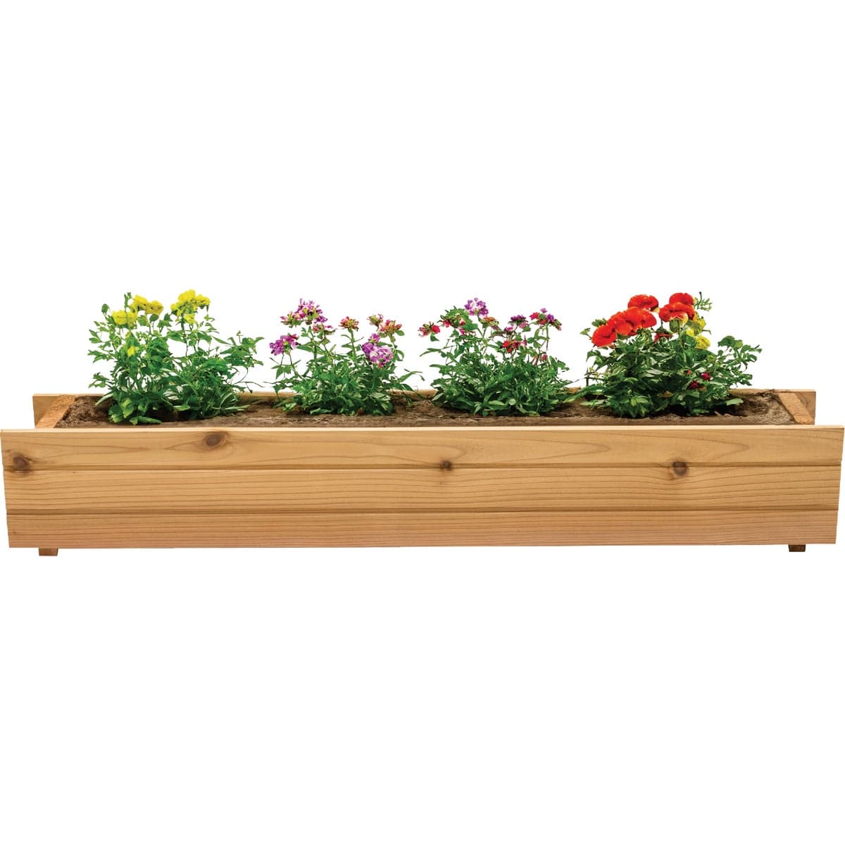 main-product-image