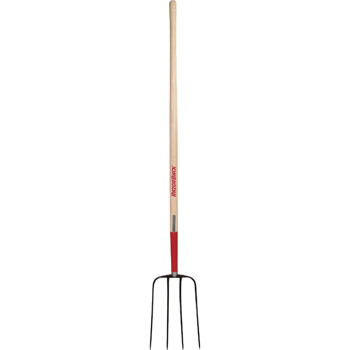 main-product-image