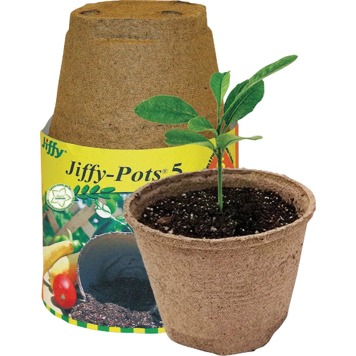 main-product-image