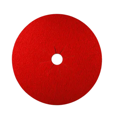 16 in. x 2 in. 12-Grit Sanding Disc (DCD160012S01G)