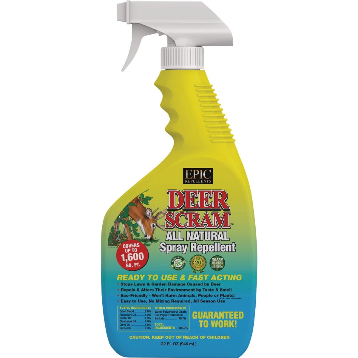 main-product-image