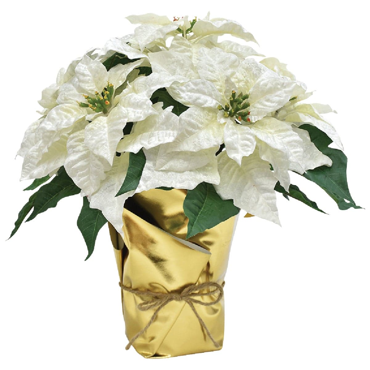 main-product-image