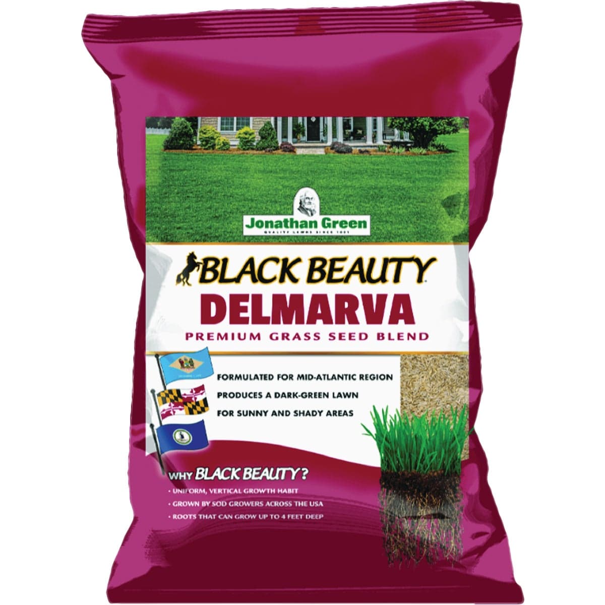 main-product-image