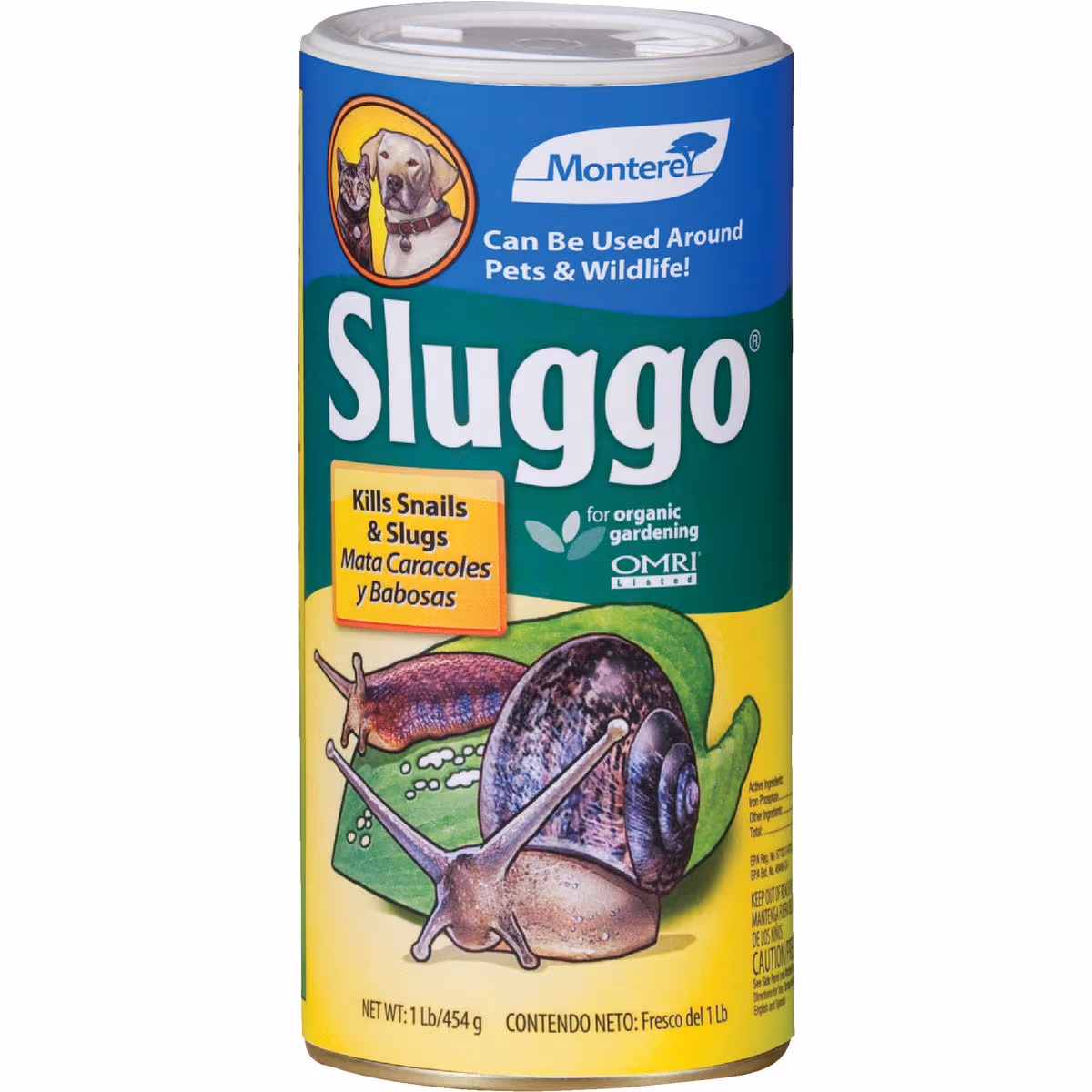 main-product-image