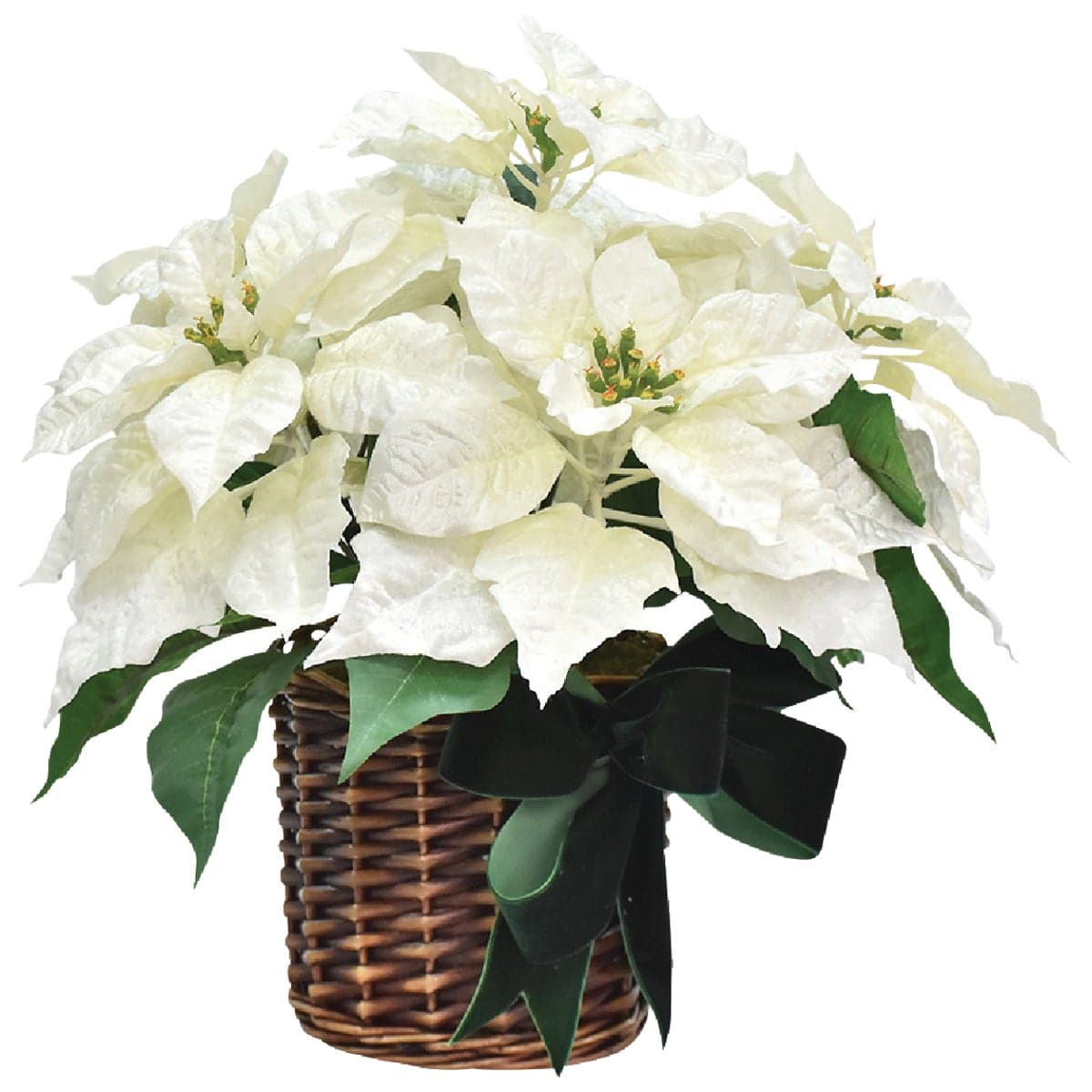 main-product-image